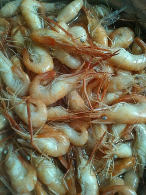 太湖盐水河虾 - 孕期话题论坛