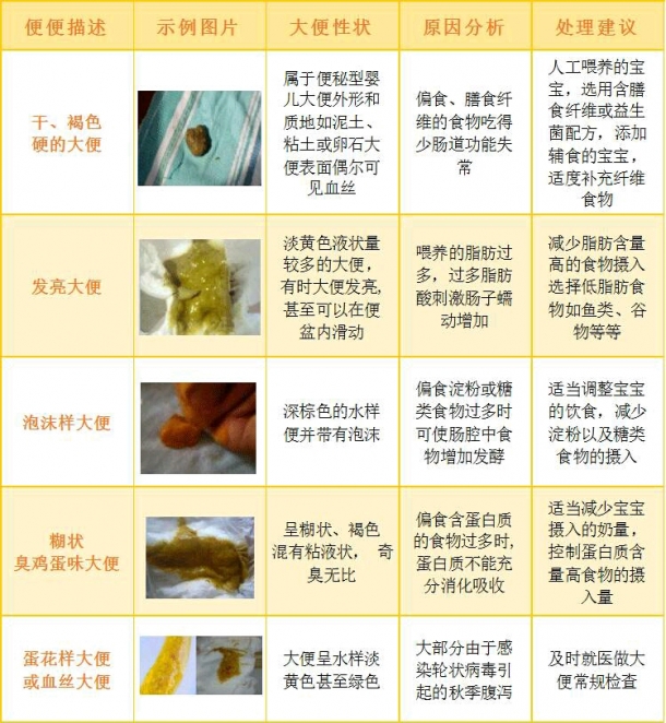 宝宝便便全解析