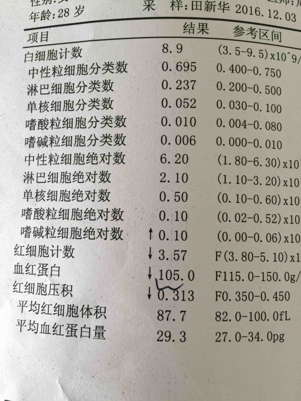 血常规 检测 贫血的来说说