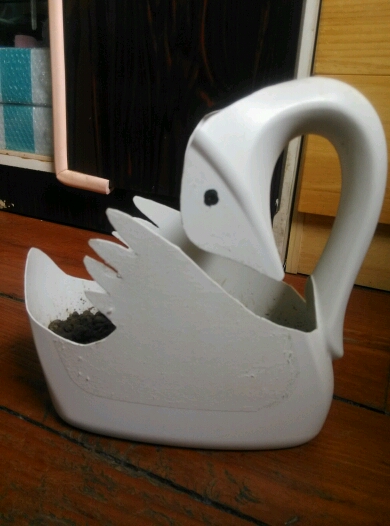 ϴҺƿƻ