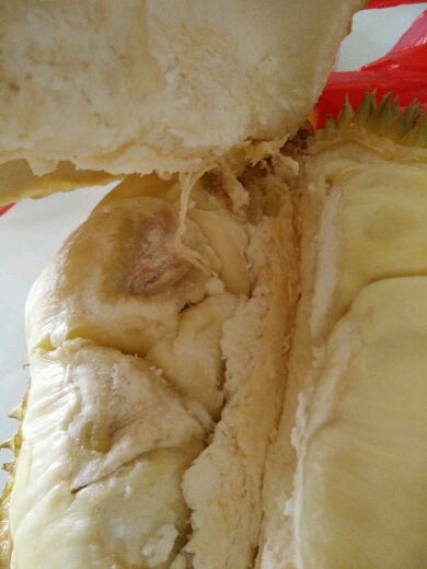 我买的榴莲是不是坏了? - 幼儿护理论坛