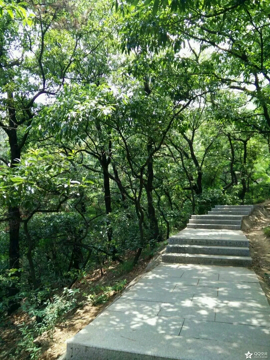 烟台 南山公园