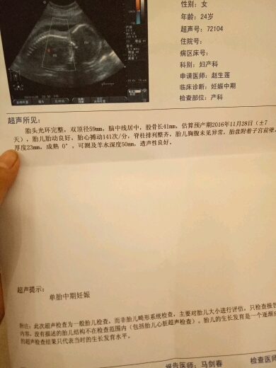 五个月做的彩超,亲们看看,是男宝女宝
