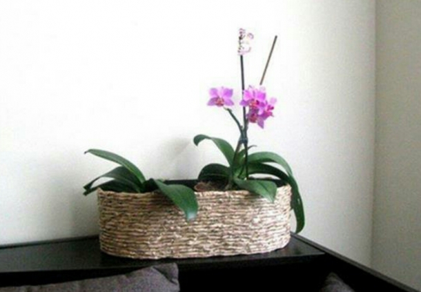 纸箱牛皮纸在一起更配噢【废物利用DIY花盆装