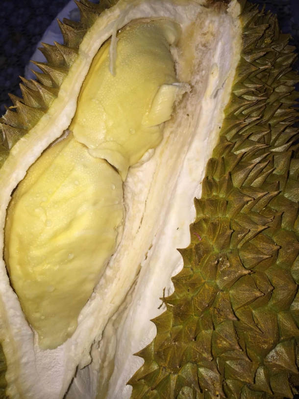 榴莲控进来