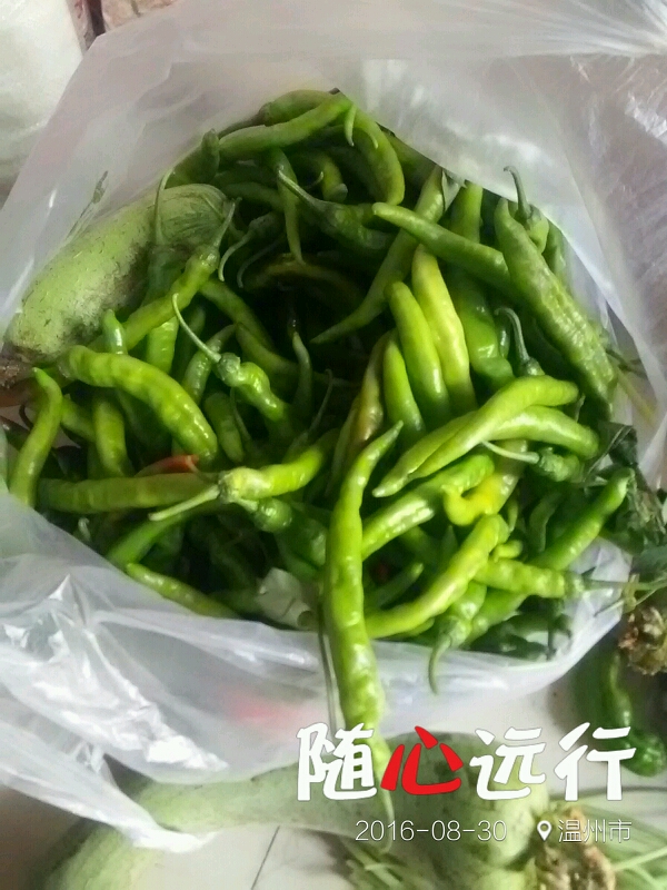 {妈妈教我炒菜500}.