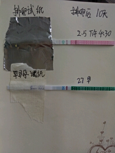 是着床出血还是来月经了?又会忠告失败了[囧]