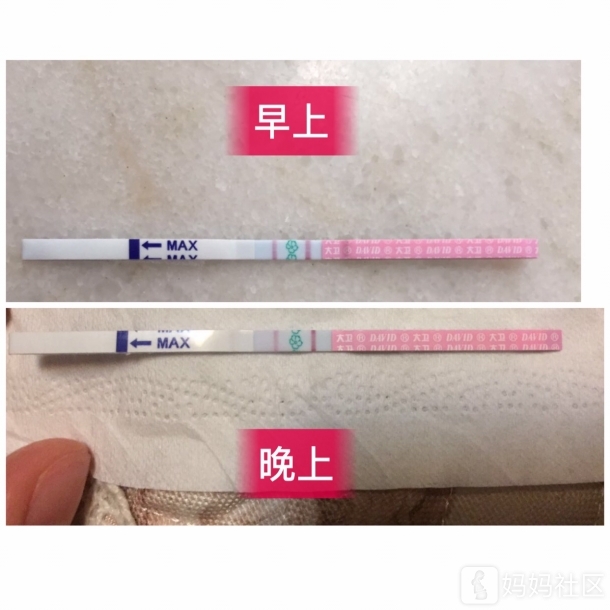 排卵试纸这样 今天是不是可以安排同房了