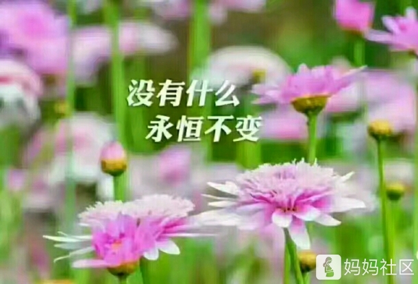 这话好经典!送给在这么热的天还在努力赚钱的女人们!