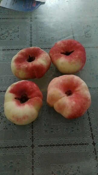 你们那里的桃子多少钱一斤呢? - 幼儿护理