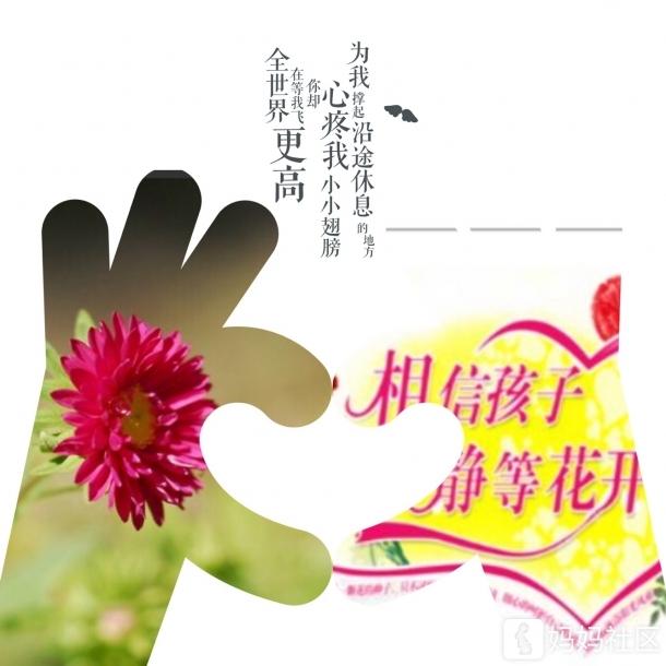 陪伴宝宝,静等花开