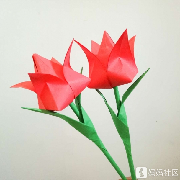 折纸郁金香【附教程】