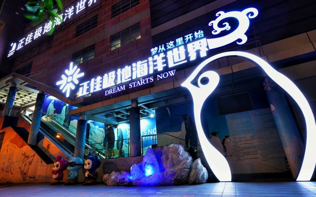 $99=1大1小正佳极地海洋世界夜场套票!