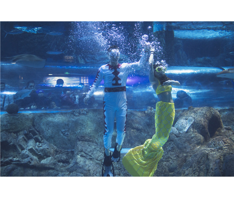 99元抢购南京海底世界特惠晚场特惠成人票， 潜入海底看最精彩的动物表演吧