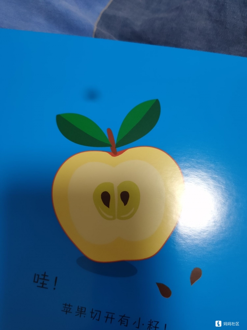 小宝宝的福利《小小智慧树早教启蒙纸板书》读后感