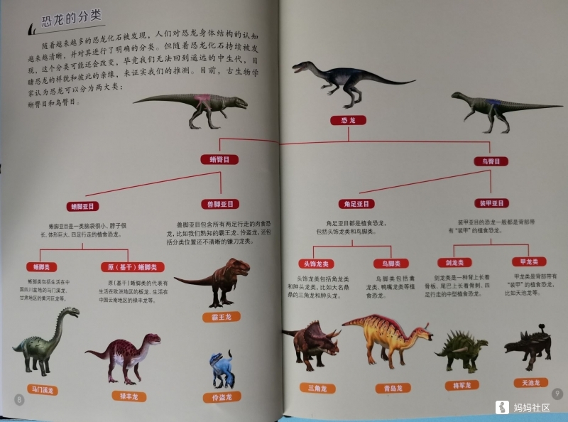 各种恐龙简介图片