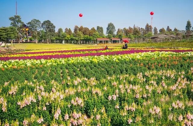 佛山梦里水乡百花园2大1小亲子套票暑假节假日不加价摩天轮小火车旋转