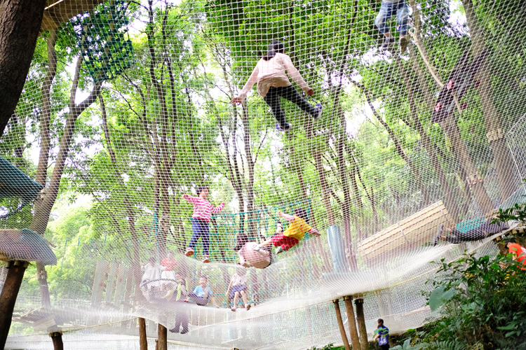【12点开抢】"飞越丛林"(天鹿湖森林公园),树上探险乐园,锻炼孩子体能