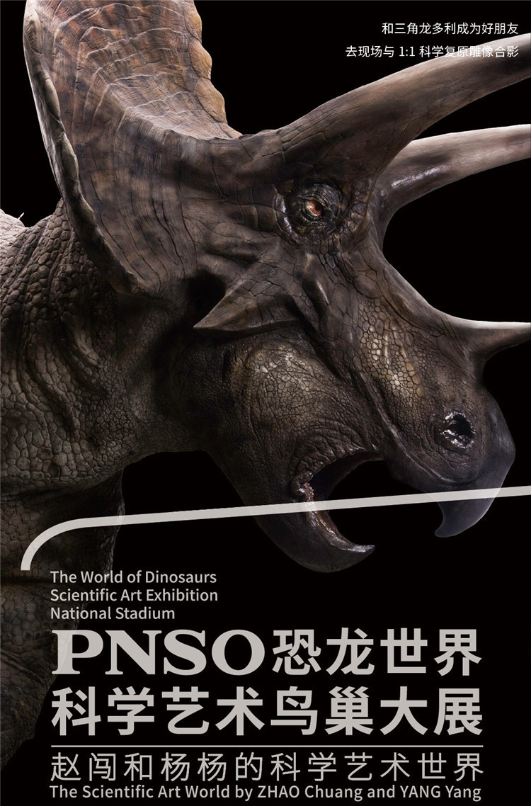 【8.17闭展】pnso恐龙世界科学艺术大展—赵闯和杨杨的科学艺术世界